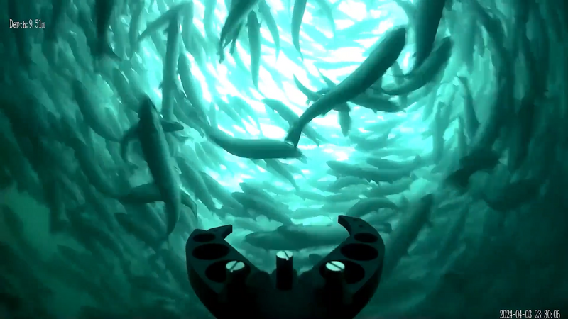 qysea-underwater-rov-solution-provider